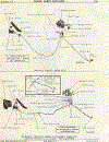 (14-4)  THROTTLE LINKAGE - A100  /  MECHANICAL THROTTLE LINKAGE (6 CYL) - A100 (WITH 170 & 225 CID ENGINE - WITH LOADFLITE)