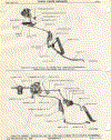 (14-06)  THROTTLE LINKAGE (225 CID ENGINE WITH LOADFLITE TRANS) MODEL D100 (TOWN PANEL & TOWN WAGON)  /  THROTTLE LINKAGE - MODELS D100, 200, 300, WITH LA318-1 ENGINE, WITH AUTO TRANS