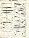 (19-14)  POWER STEERING HOSE CHART